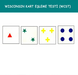Wisconsin Kart Eşleme Testi